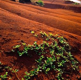 《刀剑神域 彼岸游境》DLC 