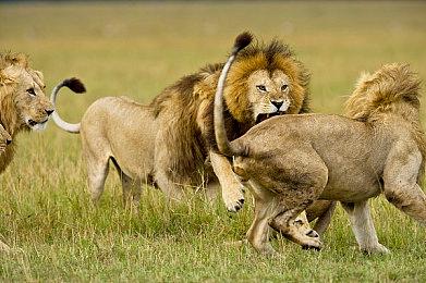 《异度神剑3》公布最新宣传片 游戏好评发售中