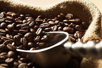 Epic推出免费虚幻5引擎抢先体验游戏新手包